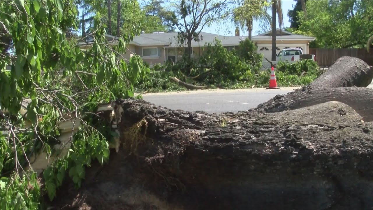 Crews out cleaning up damage from yesterday's wind storm - YouTube