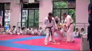 6th Dan board breaks