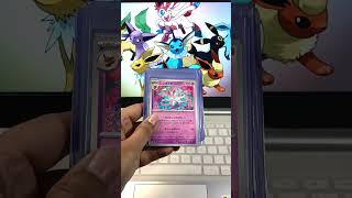 My Collection of Eeveelution Cards!