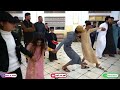 گوم ادبچ 