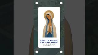 🌹 Sancta Maria, Ora Pro Nobis 🙏 Únete al Rosario en Directo