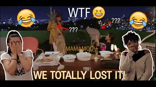 MAMAMOO questionable behaviors when drunk Reaction - Germans react to MAMAMOO