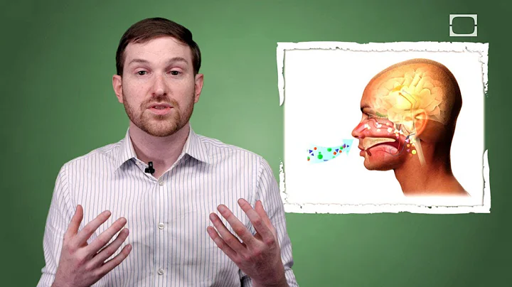 How Do Artificial Flavors Work?