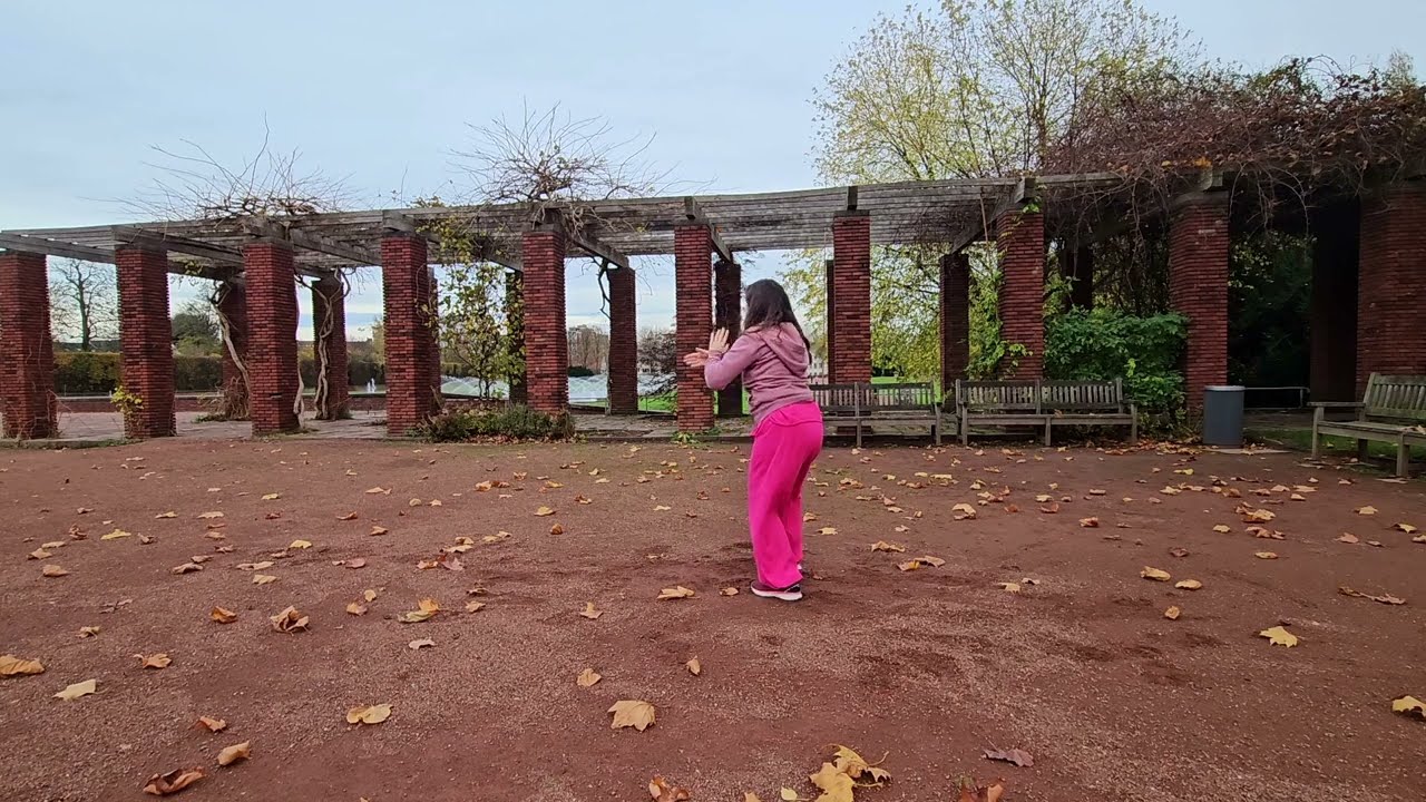 Wu Tai Chi Chuan: Teil 1 der schnellen Form nach Ma Jiangbao. The fast form, part 1. 