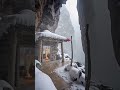 winterevening#beauty#weather#winter