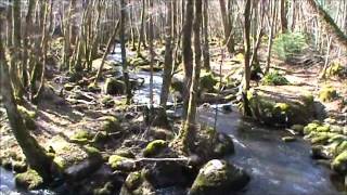morvan-mars2012
