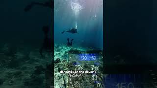 𝐒𝐲𝐦𝐛𝐢𝐨𝐬 𝐇𝐔𝐃 𝐃𝐢𝐯𝐞 𝐂𝐨𝐦𝐩𝐮𝐭𝐞𝐫 🌐 Go to halcyon.net and find out more💦#halcyondivesystems