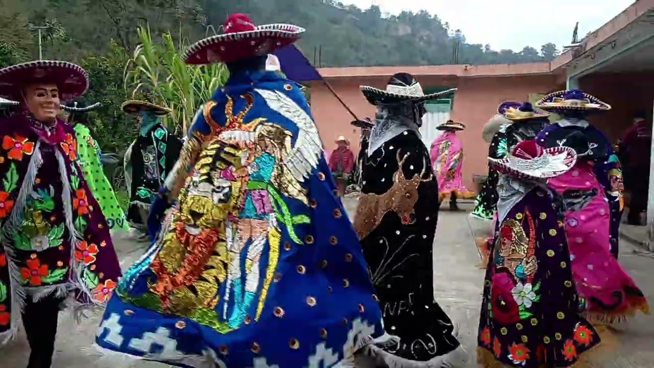 Carnaval Camarones 2026 🦐