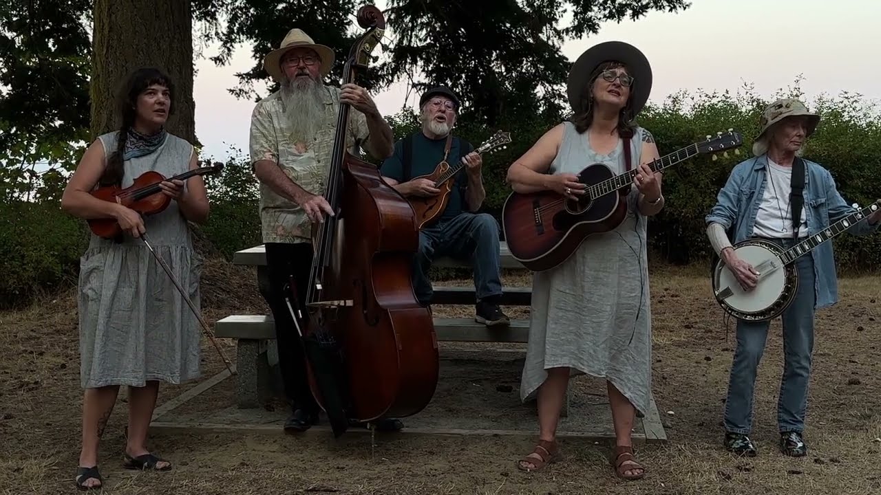 BackPorch Banjo ~ Velvet Night Waltz [original-live]