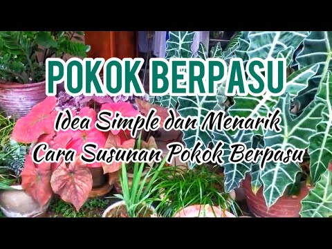 Video: Idea Taman Sarap – Petua Untuk Mencipta Taman Tempat Sampah yang Menarik