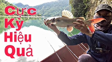 De meest standaardgids voor het haken van wormen als aas voor natuurlijk riviervissen voor beginners