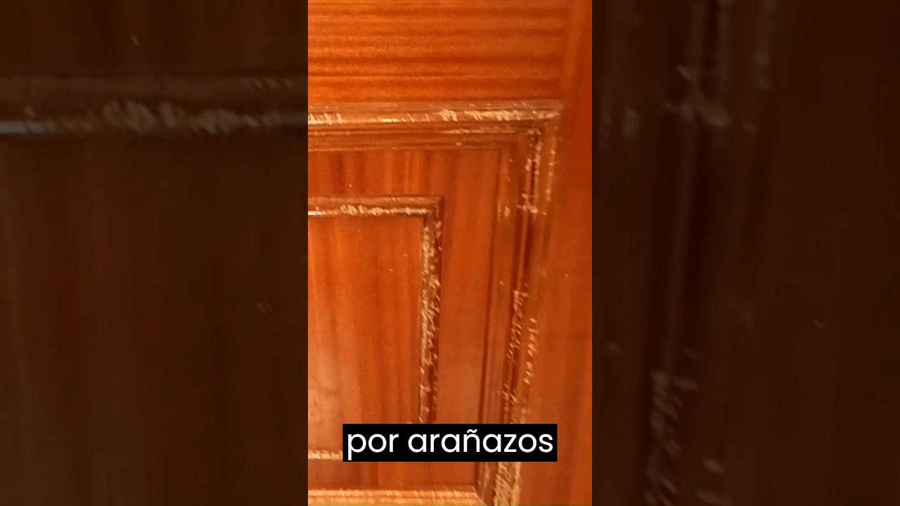 Como borrar arañazos de perro en puerta de madera 