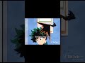 bakudeku core:#mha #capcut #parati