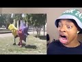 Spongebob Vs Chiko 