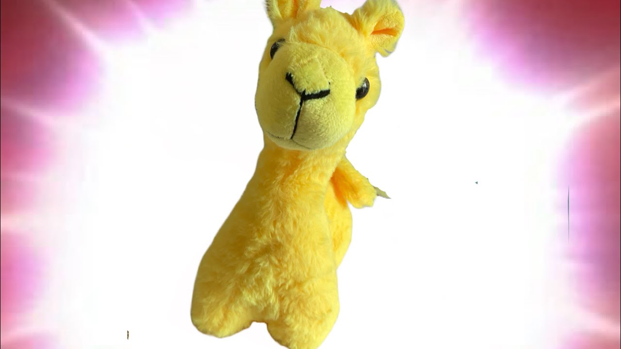 The Amazing Alpaca Promo Video! 