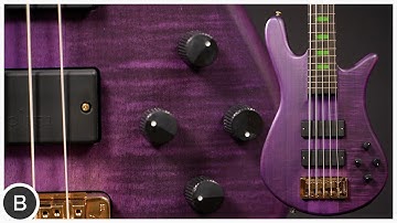 STUNNING LOW END MONSTER!! -- Spector Skyler Acord Signature Bass