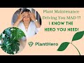 Plant Hero Saved My Plants! || GIVEAWAY