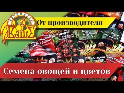 Video: Bazovy Proezd, Nischni Nowgorod