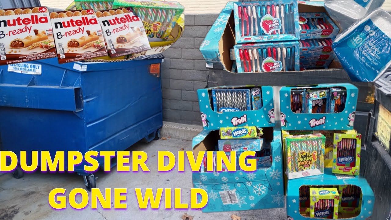 РЫТЬЕ В МУСОРНЫХ КОНТЕЙНЕРАХ ЗАШЛО В БЕЗУМИЕ: МОЯ САМАЯ НЕОЖИДАННАЯ НАХОДКА!