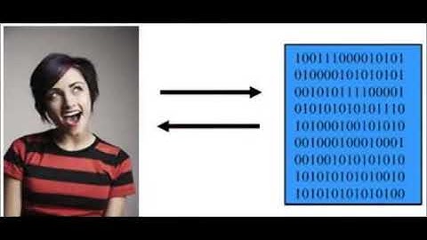 FaceKey Biometrics Loss