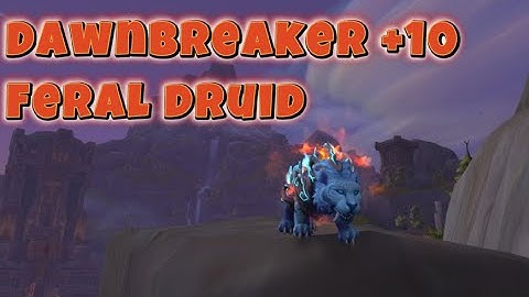 The Dawnbreaker +10 Feral Druid POV.