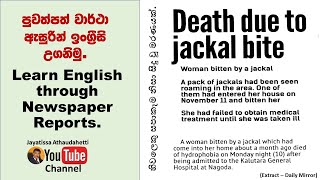 English with Newspapers in Sinhala # 37 | ඉංග්‍රීසි පත්තර සිංහලෙන් Improve your vocabulary