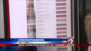 Animal lovers donate money to pet projects