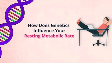 How To Burn More Calories At Rest? All About Resting Metabolic Rate