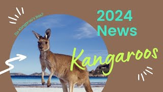 Kangaroo News 2024