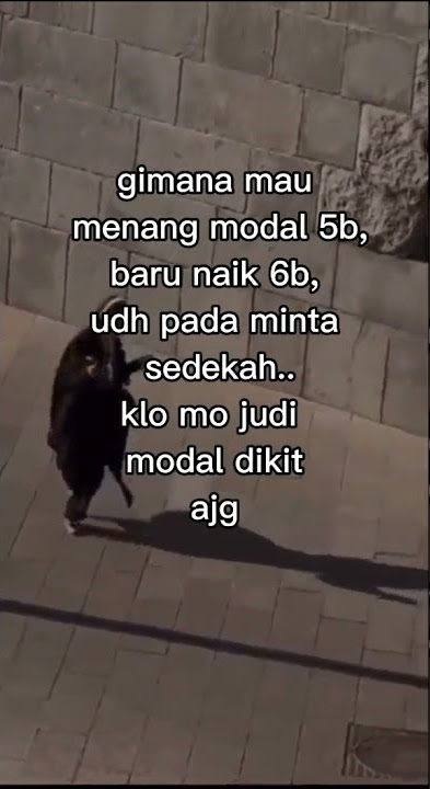 Story Wa Higgs Domino