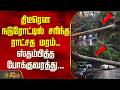 Nilgiris | திடீரெனநடுரோட்டில் சரிந்தராட்சத மரம். ஸ்தம்பித்தபோக்குவரத்து...