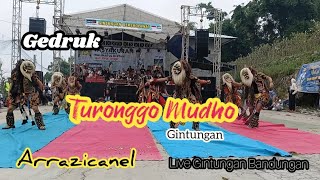 Gedruk Turonggo Mudho Gintungan Live Gintungan Bandungan @arrazicanel