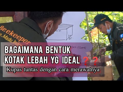 Video: Cara Membuat Koktel Lebah