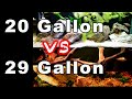 29 Gallon Aquarium vs 20 Gallon Long Aquarium: Which is Best?