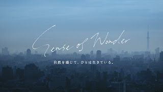 Sense of Wonder ｜ 印傳屋 INDEN-YA