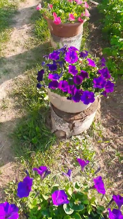 Доброе утро ☕️🌞🫶 С первым днём июля 🌺💞 #доброеутро #цветы #красота # ...