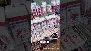 子どもにも大人にも大人気！大阪・関西万博 公式スタンプパスポート