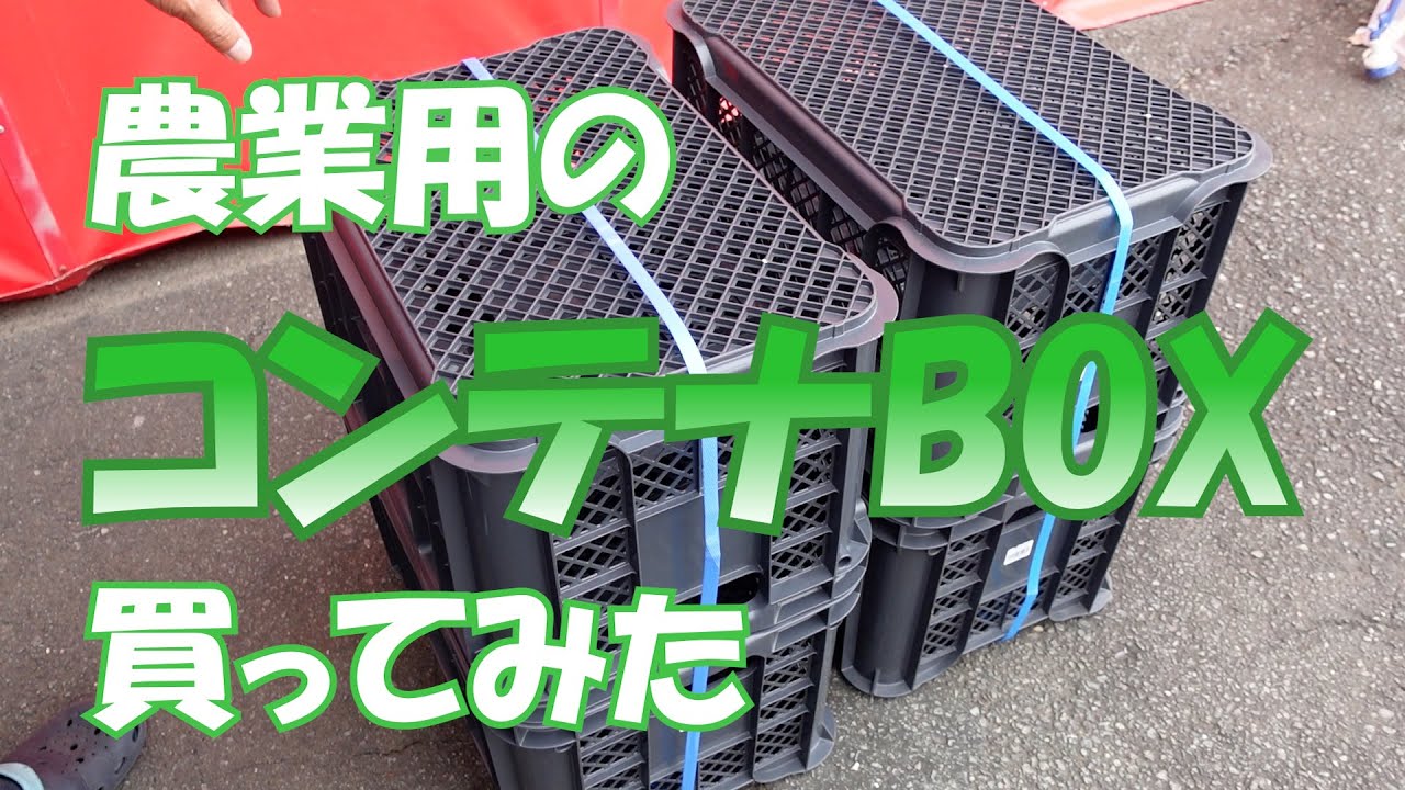 I bought an agricultural container box #106 [Thursday] 0209 - YouTube