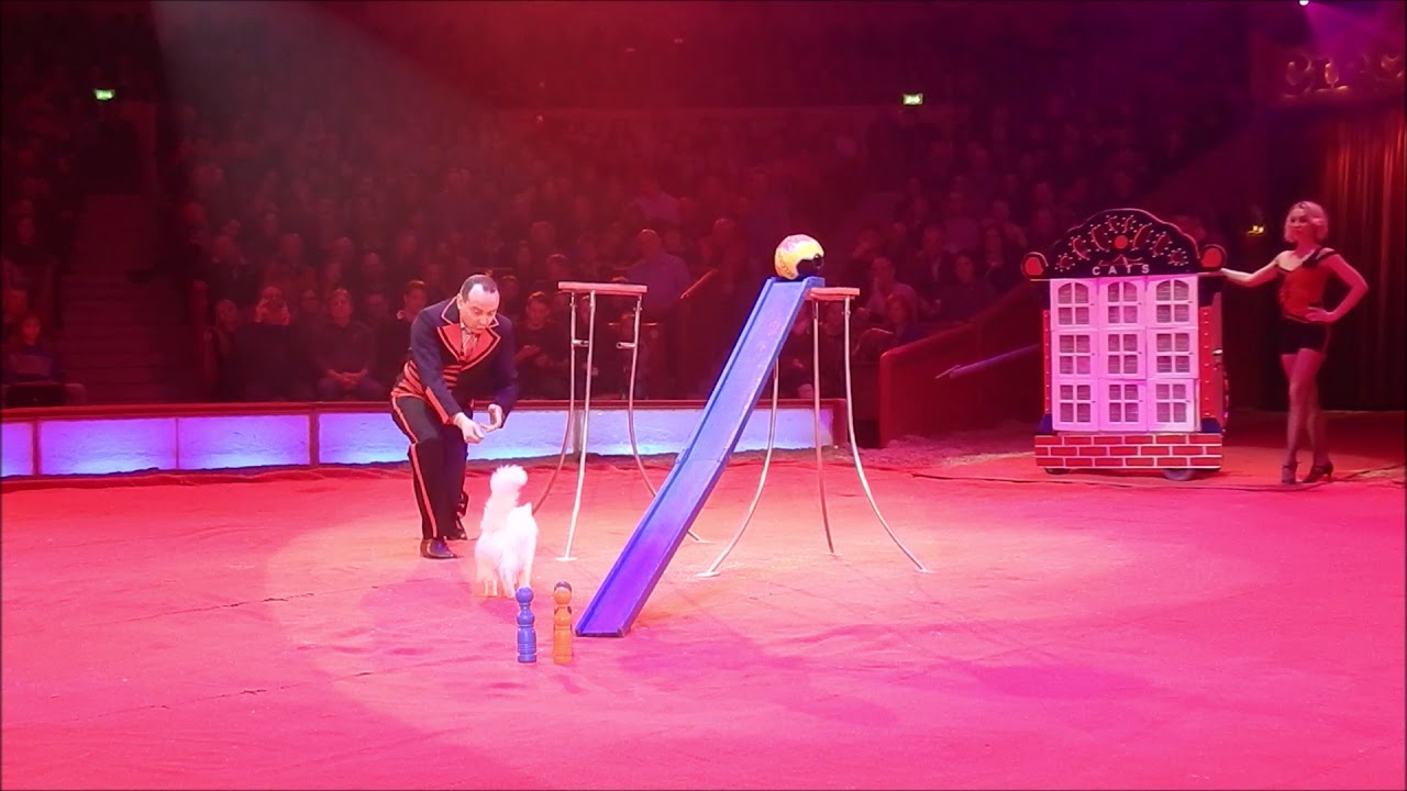 Circus Krone 2. Jubiläumsprogramm vom 01.02.19 bis 28.02.19 in der Winterspielzeit 2019 Teil 6 - 18