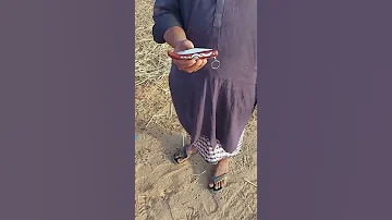 باكستاني يفك مطوه قرن غزال 