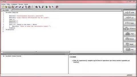 programa mayores y menores PSeint