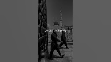 وأن ليس للإنسان إلا ما سعى || القارئ ناصر القطامي