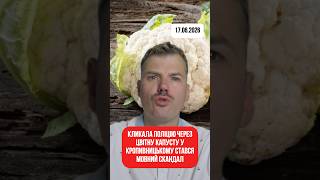 Кликала поліцію через цвітну капусту. У Кропивницькому стався мовний скандал #мова