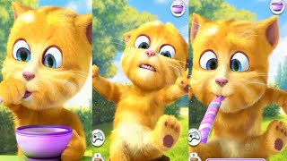 my taking ginger 🐈🐈‍⬛🐈🐈‍⬛🐈😻😽😸🙀😾😼😹😺😿🐈🐈‍⬛🐈 funny ginger #ginger #android #youtube