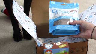 BarkBox Unboxing - August 2015