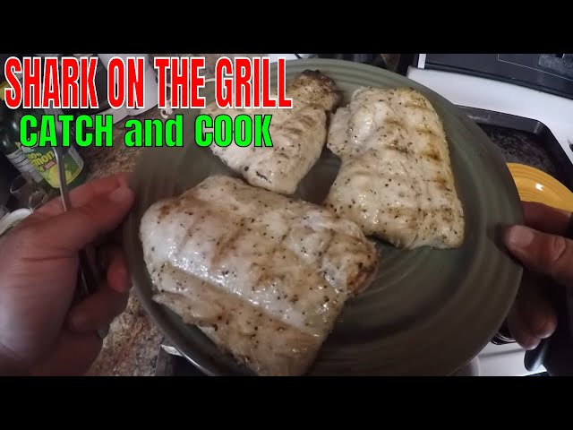 Grilled Shark Catch And Cook You