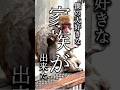 大好きな家族ができたんだ #がんばれパンチ #monkey #パンチくん #市川市動植物園
