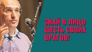 Знай в лицо шесть своих врагов! Торсунов лекции