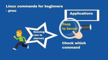 Linux commands for beginners | Linux proc command | Hands on experience with Linux commands