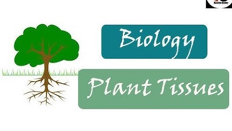 Plant tissues | Biology | Telugu | English |
